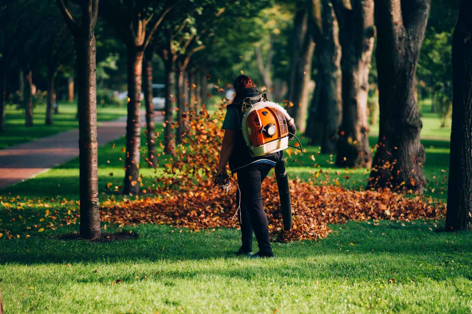 Best Tree Removal Near Me  in University Of Pittsburgh Johnstown, PA